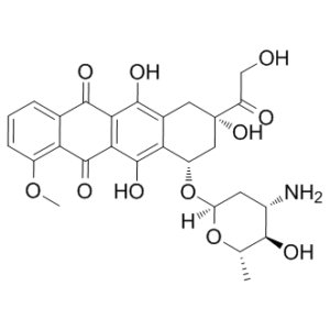 Epirubicin (4′-Epidoxorubicin)