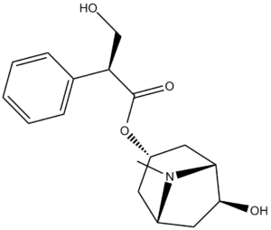 Anisodamine