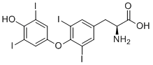 Levothyroxine (L-Thyroxine; T4)