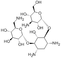 Kanamycin