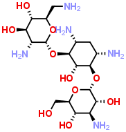 Kanamycin B