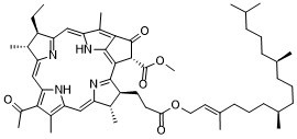 Bacteriopheophytin a