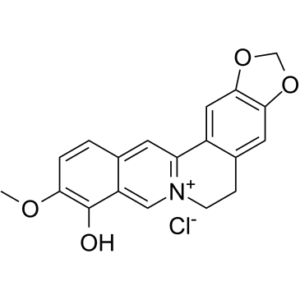 Berberrubine chloride