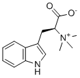 Hypaphorine