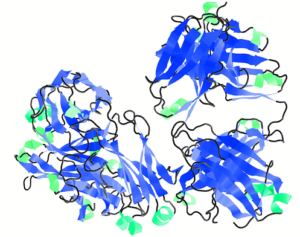 RITUXIMAB