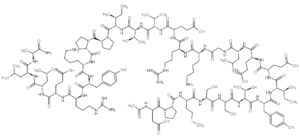 Acetyl-Calpastatin (184-210) (human)