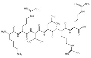 Protein Kinase C Substrate KRTLRR