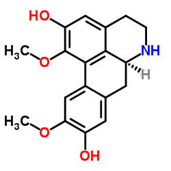 Norboldine