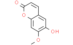 Isoscopoletin