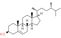 Campesterol