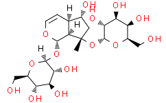 Rhmannioside C