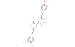 Chicoric Acid