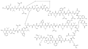 Insulin (human)