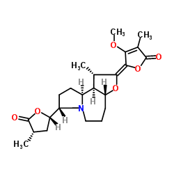 Protostemonine