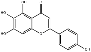 Scutellarein