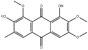 Obtusin