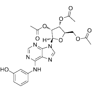 IMM-H007