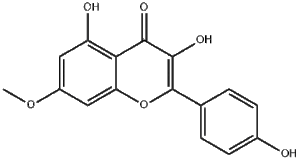 Rhamnocitrin