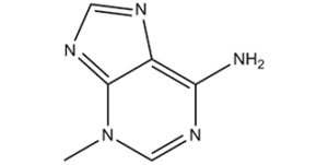 3-Methyladenine (3-MA; Autophagy Inhibitor)