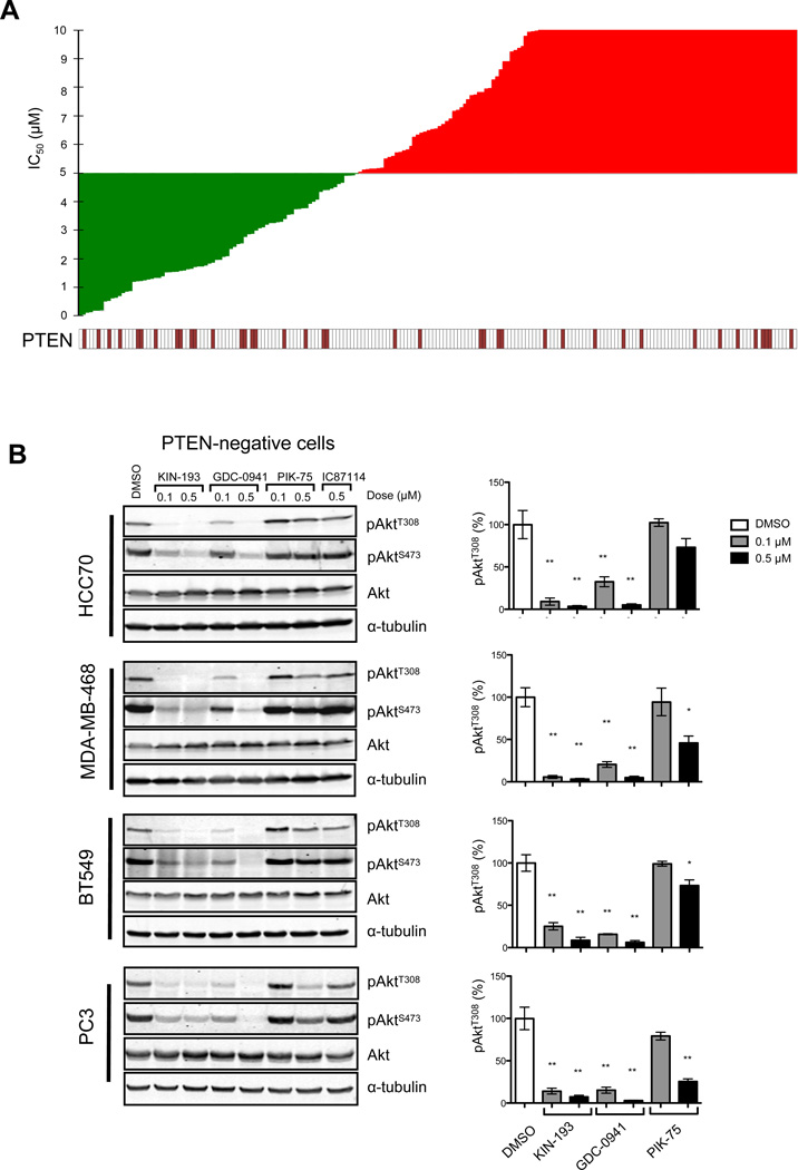 Effects of KIN-193 on PTEN-deficient cancer cells. Cancer Discov. 2012 May;2(5):425-33.