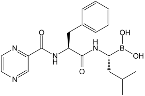 Bortezomib (PS-341; Velcade)