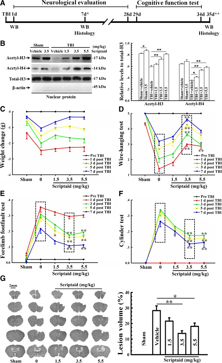 The dose-dependent protection conferred by Scriptaid against traumatic brain injury (TBI). Neurotherapeutics. 2013 Jan;10(1):124-42.