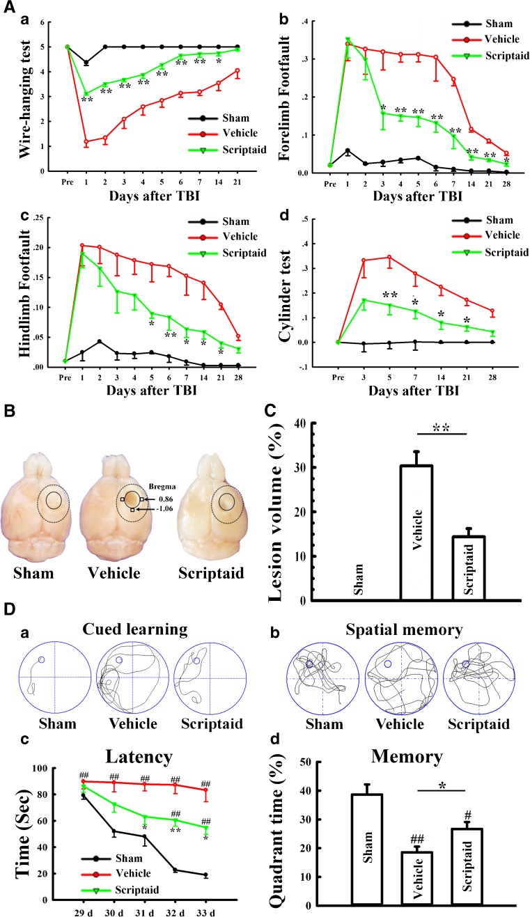 Scriptaid conferred protection against long-term motor and cognitive deficits and tissue loss from controlled cortical impact (CCI) injury. Neurotherapeutics. 2013 Jan;10(1):124-42.