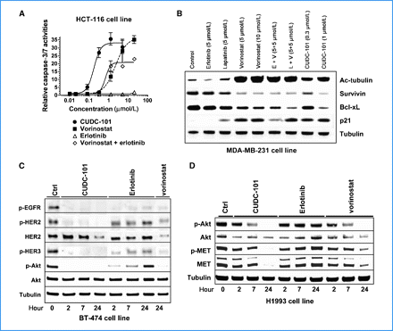 CUDC-101 induces apoptosis and suppresses Akt, HER3, and MET signaling. Cancer Res. 2010 May 1;70(9):3647-56.