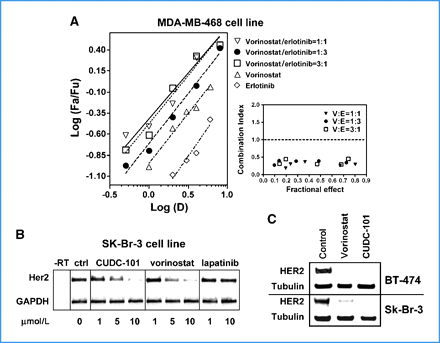 Synergy between RTK and HDAC pathway inhibition. Cancer Res. 2010 May 1;70(9):3647-56.