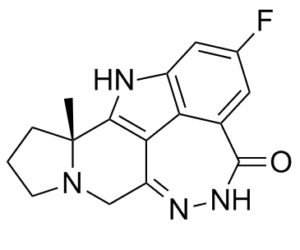 Pamiparib