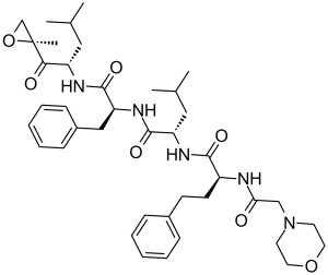 CARFILZOMIB (PR171)