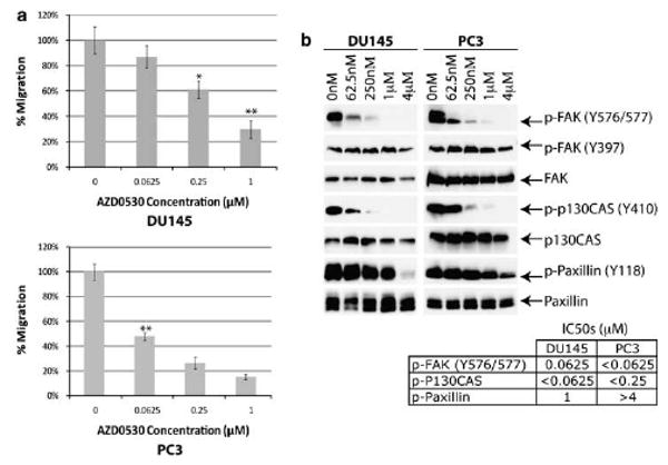 AZD0530 inhibits cell migration through Src-mediated FAK activation. Oncogene. 2008 Oct 23;27(49):6365-75.