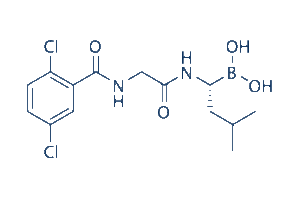 IXAZOMIB (MLN2238)