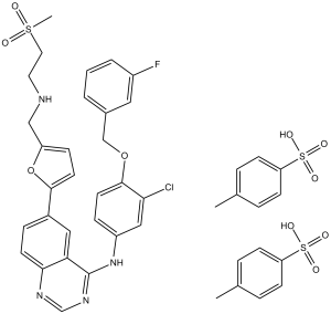 Lapatinib Ditosylate (GW-572016, Tykerb)