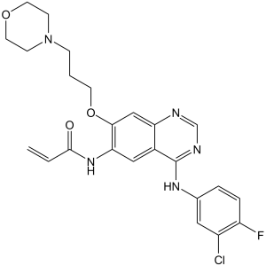 Canertinib (CI-1033; PD-183805)