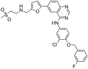 Lapatinib (GW-572016, Tykerb, Tyverb)