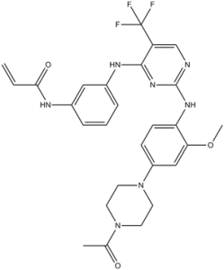 Rociletinib (CO-1686, AVL-301, CNX-419)