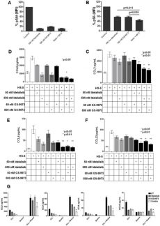 Treatment of primary CLL cells (n =14) co-cultured with HS5 stromal cells with idelalisib (100 nM) or GS-9973 (100 nM), alone or in combination (100 nM each), results in decreased AKT phosphorylation. Oncotarget. 2014 Feb 28;5(4):908-15.