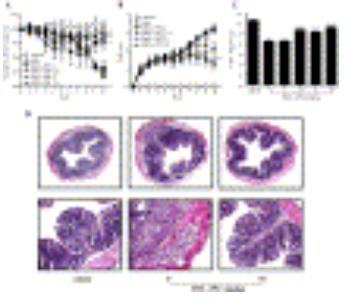 Int Immunopharmacol. 2008 Dec 10;8(12):1695-702.