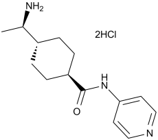 Y-27632 2HCl