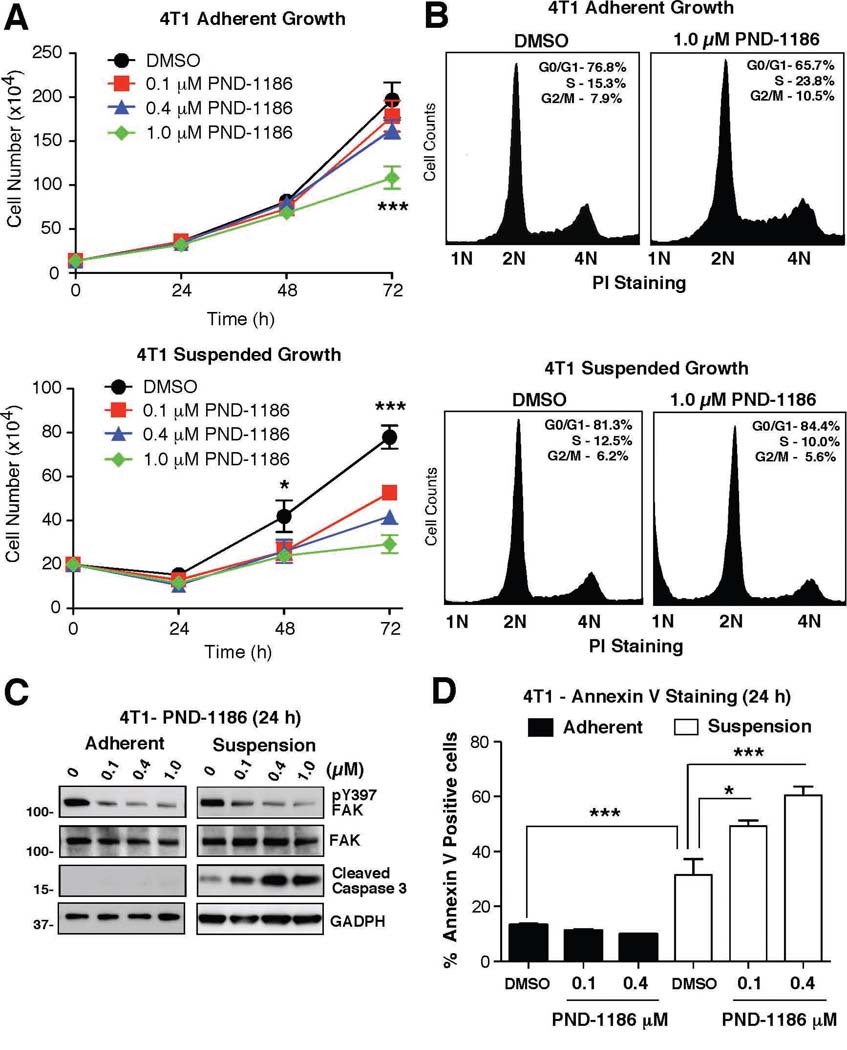 Selective 4T1 cell apoptosis in suspension at low PND-1186 levels. Cancer Biol Ther. 2010 May 15;9(10):764-77.