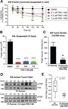 PND-1186 inhibits ovarian carcinoma tumor growth. Cancer Biol Ther. 2010 May; 9(10): 764–777. Cancer Biol Ther. 2010 May 15;9(10):764-77.