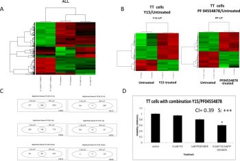 Y15 and PF-04554878 induced significant gene changes in medullary thyroid cancer TT cells. Oncotarget. 2014 Sep 15;5(17):7945-59.