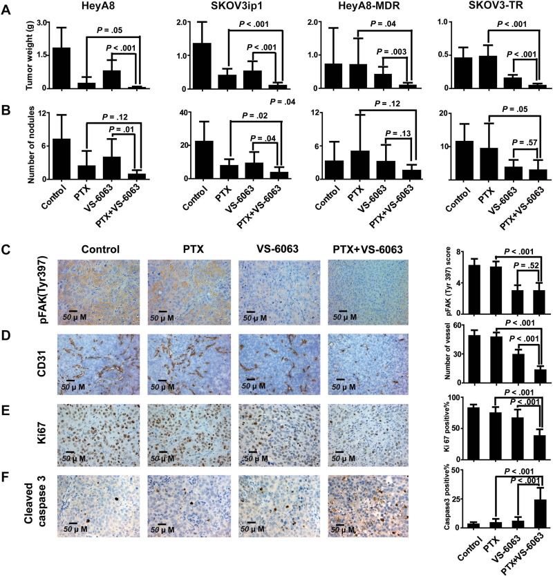 In vivo effects of VS-6063 combined with paclitaxel (PTX). J Natl Cancer Inst. 2013 Oct 2;105(19):1485-95.