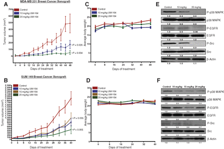 MDA-MB 231 and SUM 149 xenograft models. Clin Cancer Res. 2016 Oct 15;22(20):5087-5096.