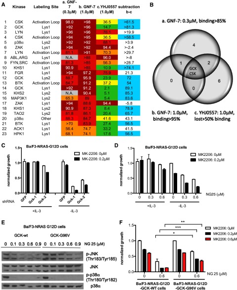 Identification of GCK as a functionally relevant target of GNF-7. Blood. 2015 May 14;125(20):3133-43.