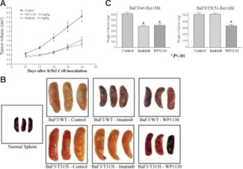 WP1130 reduces the growth of CML tumors and Bcr/Abl-expressing cells in nude mice. Blood. 2007 Apr 15;109(8):3470-8.