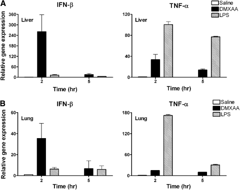 Differential induction of IFN-β and TNF-α mRNA expression by DMXAA and LPS in vivo. J Leukoc Biol. 2011 Mar;89(3):351-7.