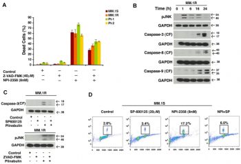 Cell death induced by plinabulin depends on JNK as well as caspases. Blood. 2011 May 26;117(21):5692-700.