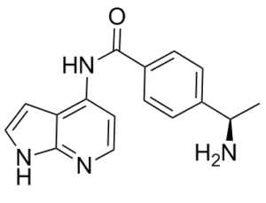 Y-39983